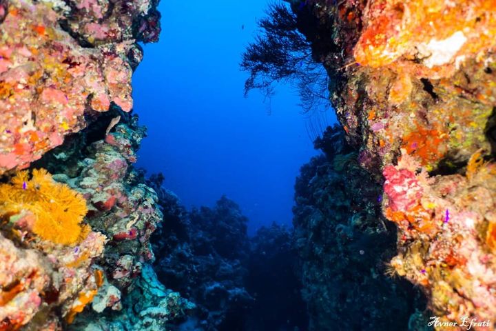 Blick durch eine schmale Spalte zwischen zwei farbenfrohen Riffwänden ins Blaue